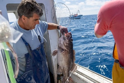 Manuel Ligero, patrón del barco de pesca ‘El Millonario’, sacando parte de la captura obtenida en aguas de Marruecos.