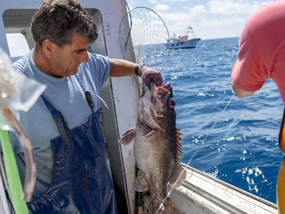 Manuel Ligero, patrón del barco de pesca ‘El Millonario’, sacando parte de la captura obtenida en aguas de Marruecos.