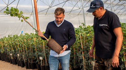 A la izquierda, el fundador de Agróptimum, Ángel Minaya, en uno de sus invernaderos.