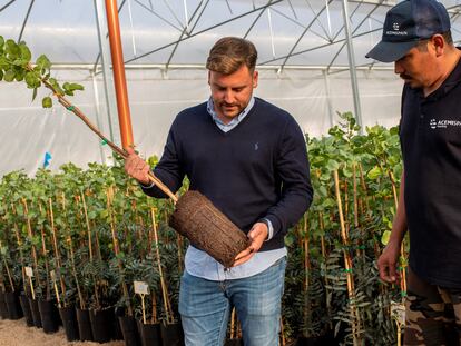 A la izquierda, el fundador de Agróptimum, Ángel Minaya, en uno de sus invernaderos.