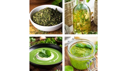 set de semillas bio con 12 hierbas aromáticas