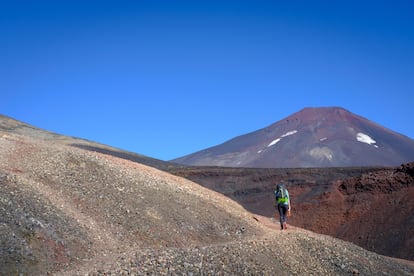 Una senderista por la reserva nacional Nalcas, con el volcán Lonquimay al fondo, en Chile.