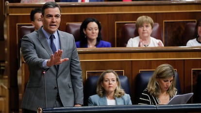 El presidente del Gobierno, Pedro Sánchez, interviene en la sesión de control al Gobierno en el Congreso este miércoles.