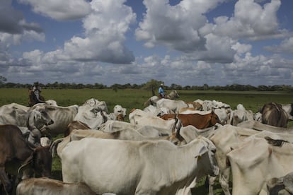 Un rancho ganadero en los pastizales de Arauca, Colombia.