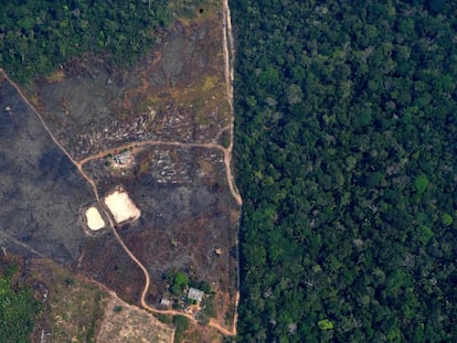 Vista aérea de uma terra desmatada na selva amazônica próxima aos incêndios, a cerca de 65 km de Porto Velho, no dia 24 de agosto.