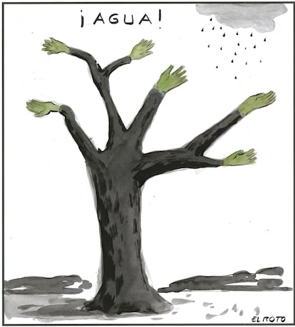 El Roto: agua
