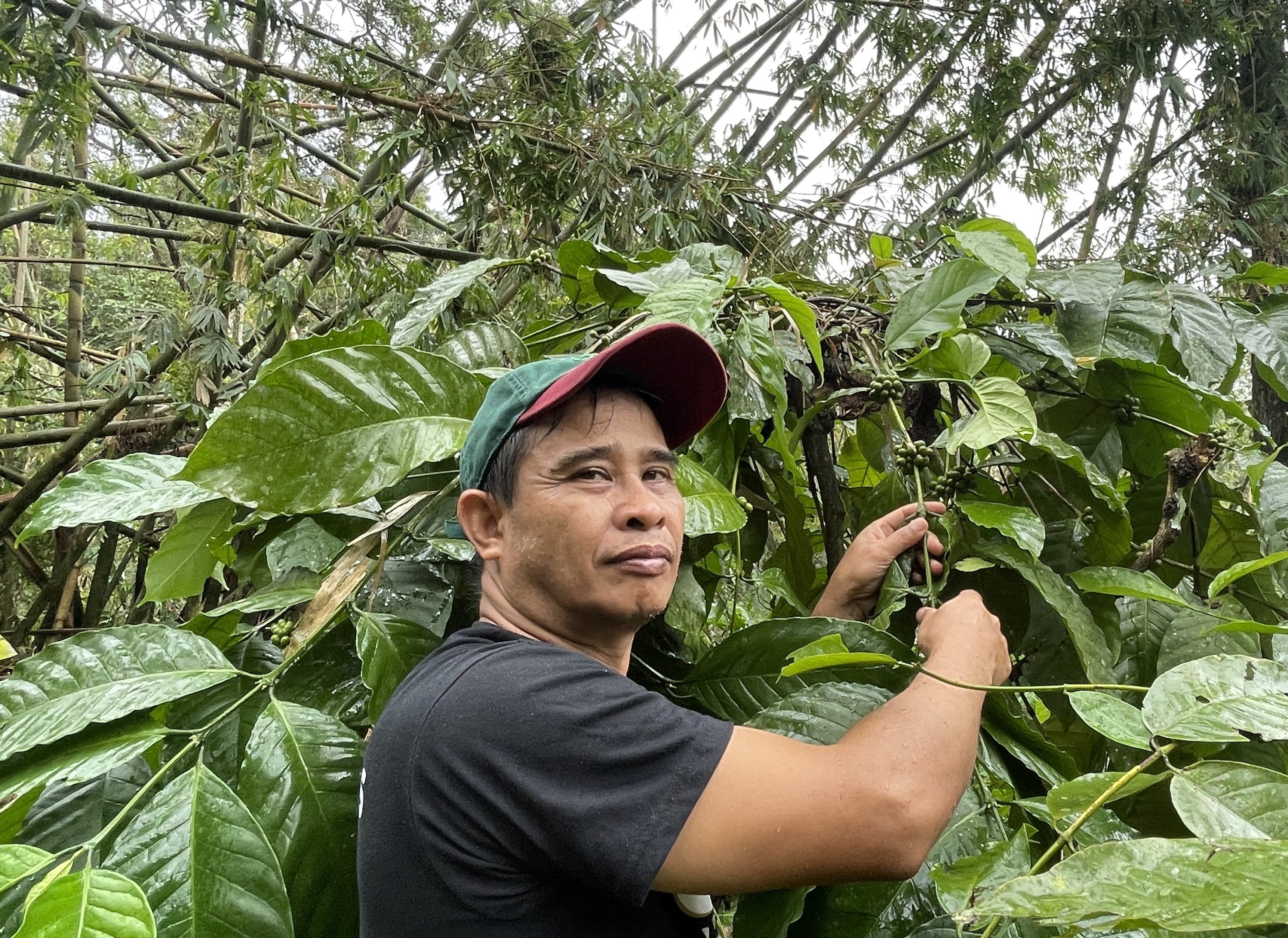 Agricultura de resistencia en Filipinas ante la emergencia climática
