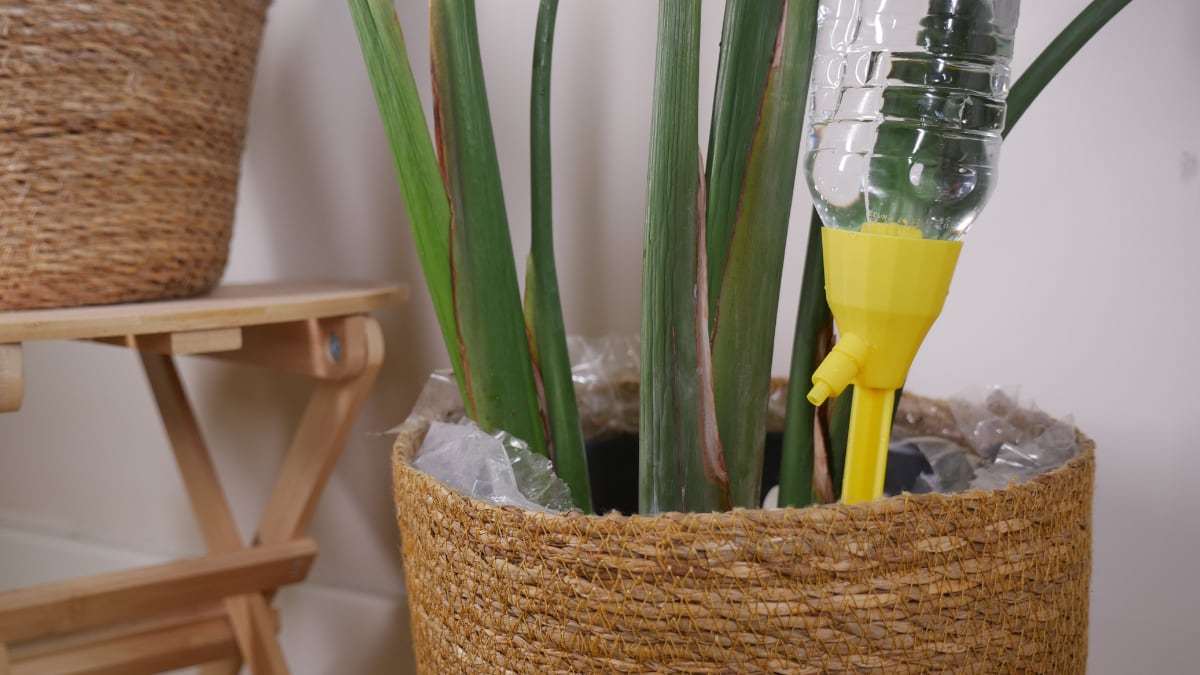Algunos modelos tienen diseños originales que también cumplen una función decorativa.