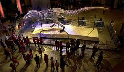 <i>Sue</i>, el mayor y más completo esqueleto de <i>Tiranosaurus</i>, es uno de los analizados