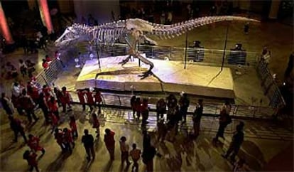 <i>Sue</i>, el mayor y más completo esqueleto de <i>Tiranosaurus</i>, es uno de los analizados