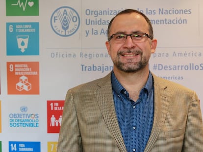 Rafael Zavala, representante da FAO no Brasil