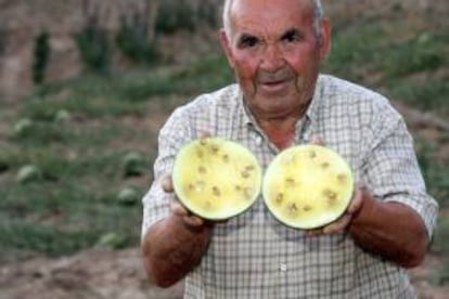 Un agricultor de Serradilla del Arroyo, municipio salmantino de la Sierra de Francia, muestra una sandía amarilla. EFE/Archivo