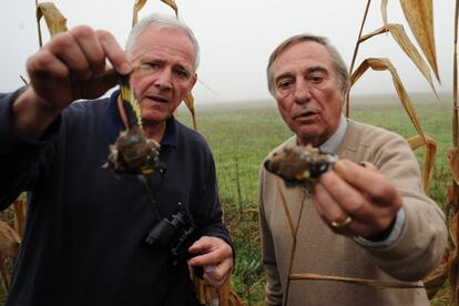 Allain Bougrain-Dubourg y su compañero muestran unos jilgueros muertos encontrados en la zona donde han encontrado las trampas para la caza furtiva de los pinzones. Cada año miles de pinzones son capturados y asesinados en contra de la ley, según la LPO.
