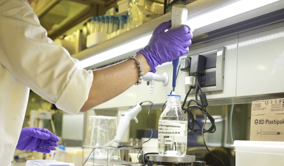 Esteve compra a Sanofi un medicamento contra el cáncer para afianzar su estrategia de farmacéutica especializada