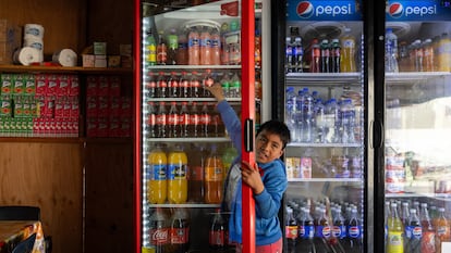 un niño agarra una botella de Coca Cola de un refrigerador.