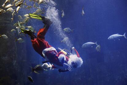 Un Papa Noel submarinista alimenta a los peces en el Aquarium de París (Francia).