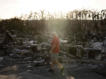 Un hombre camina sobre los escombros producidos por los incendios en Hawái, el sábado 12 de agosto.