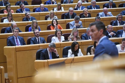 El presidente del Gobierno, Pedro Sánchez, comparece en el Pleno del Senado, en abril de 2023.