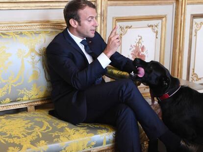 Emmanuel Macron y Nemo.