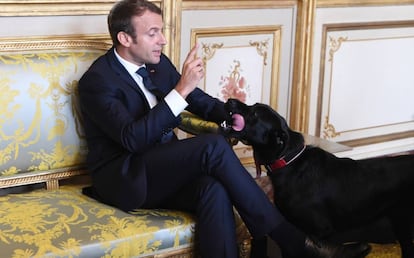 Emmanuel Macron y Nemo.