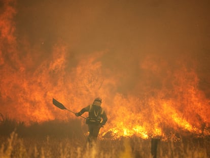 Efectivos de bomberos durante el incendio de la Sierra de la Culebra, en junio.