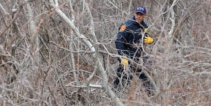 Un policía de Nueva York busca entre los matorrales en las cercanías de la carretera cercana a Oak Beach (Nueva York) el 4 de abril.