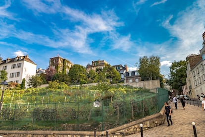 El viñedo urbano 'Clos-Montmartre', fundado en París en 1933.