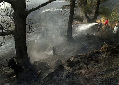 Unos bomberos trabajan ayer contra las llamas en la isla canaria de El Hierro.