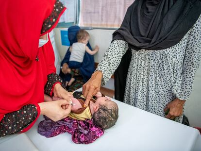Taj Bibi, una abuela de 60 años, llevaba a vacunar en junio a su nieta recién nacida desde la aldea de Koza Kalmania, en el distrito de Sawki, al hospital del distrito, en Kunar, Afganistán.