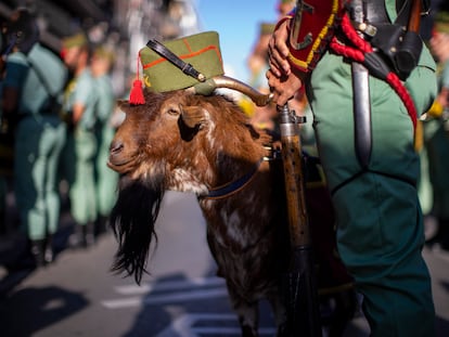 Cabra de la legión, en la manifestación del 12 de octubre de 2023