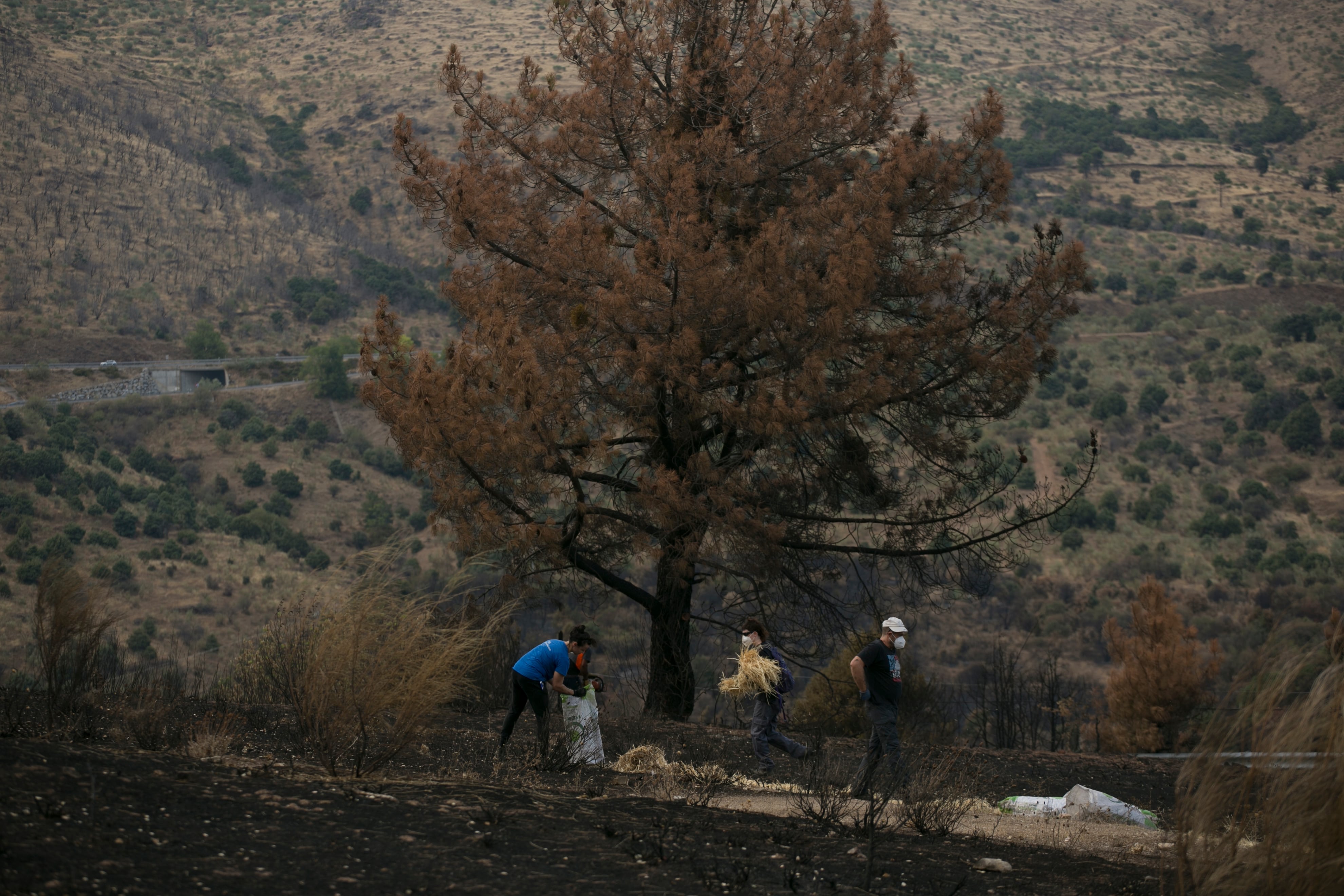 Una carrera contrarreloj para evitar que las cenizas de los incendios contaminen ríos y embalses