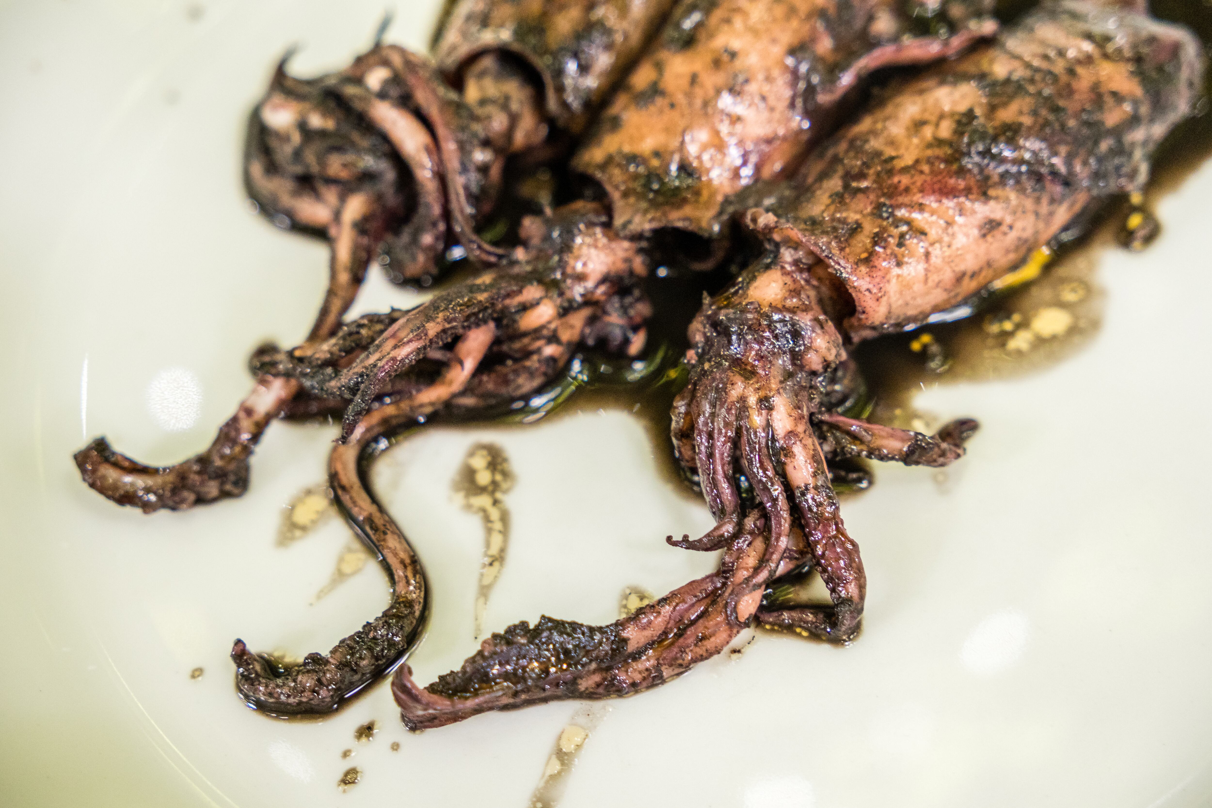 Calamares en su tinta: de la posible influencia china al mito de su origen vasco