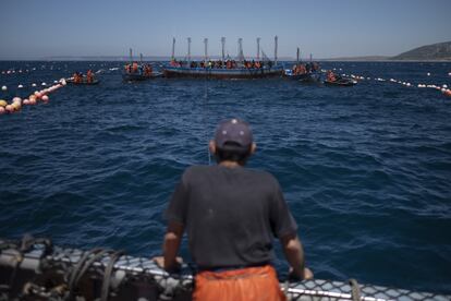 Un marinero mira la almadraba antes de empezar la pesca.