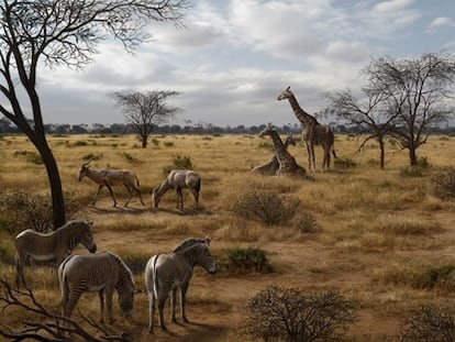 Una ilustración del 'Homo erectus' en África oriental, rodeado de animales.