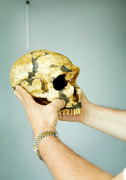 Jean-Jacques Hublin holds a replica of a Neanderthal skull.