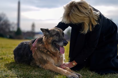 La primera dama de EE UU, Jill Biden, con su perro 'Champ' a las afueras de la Casa Blanca el 24 de enero de 2020.