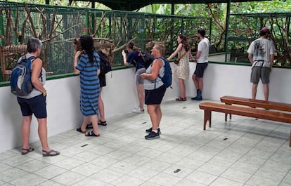 Turistas visitan el Santuario del Perezoso en Cahuita, el pasado 10 de marzo.