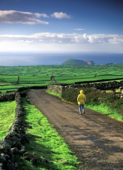 El verde contrasta con el azul del Atlántico en la isla de Terceira, en las Azores (Portugal).