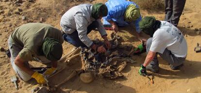 El equipo forense español exhuma una de las dos fosas halladas en el Sahara el pasado junio.