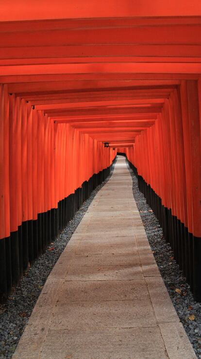 Arcada del templo Fushimi Inari, en Kioto.