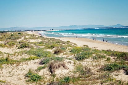 La costa española contará este verano con 648 banderas azules, diez más que el año anterior. Un total de 551 playas y 97 puertos deportivos han sido galardonados con este distintivo que reconoce el cumplimiento de unos estándares de higiene, seguridad, accesibilidad, información, salvamento y socorrismo. En la foto, la playa alicantina de El Pinet, en Elche.