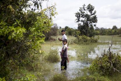 Dos hermanos se adentran en un pantano para ir a cazar tarántulas, en el distrito de Svay, en la provincia de Kampong Thom.