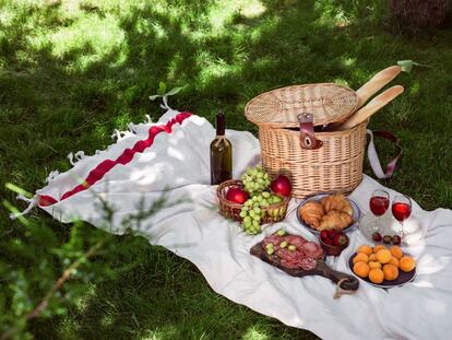 Picnic en un parque. 