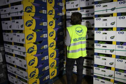 Cajas de plátanos de Canarias en un banco de alimentos.