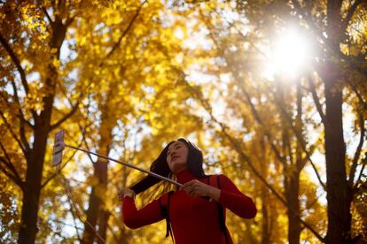 Una mujer se hace un selfi rodeada de ginkgos biloba, en Pekín, en 2018.