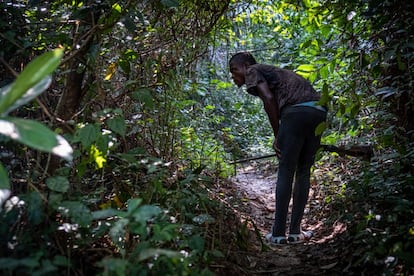 Ahmed Fofana, de 21 años, se ha quedado sin empleo a raíz de la crisis de la covid-19. En la imagen, busca animales salvajes que cazar en un bosque, en Costa de Marfil. A pesar de que en este país se prohíbe la caza y el consumo de carne de animales salvajes desde 1974, y más ahora debido a la covid-19, el pangolín y otras especies silvestres siguen siendo populares y están disponibles en los menús de los bares. Hombres como Fofana se ganan la vida con la captura de estas especies.