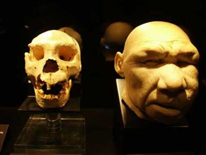 Cráneo encontrado en la Sima de los Huesos y recreación de su cabeza realizada por Adrie y Alfons Kennis.