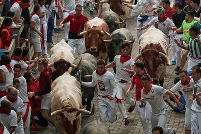 Los toros enfilan el tramo final del recorrido, justo antes de entrar en la Plaza de Toros de Pamplona.