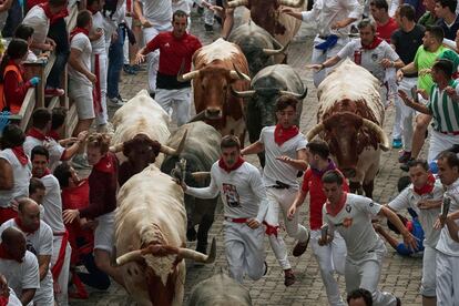 Los toros enfilan el tramo final del recorrido, justo antes de entrar en la Plaza de Toros de Pamplona.
