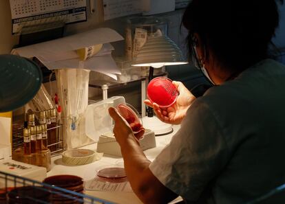 Una profesional sanitaria observa una placa en el área de laboratorio dedicada a microbiología del hospital La Paz, en Madrid.